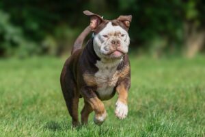 ヘッドスピード測定器でおすすめのアイテムは？