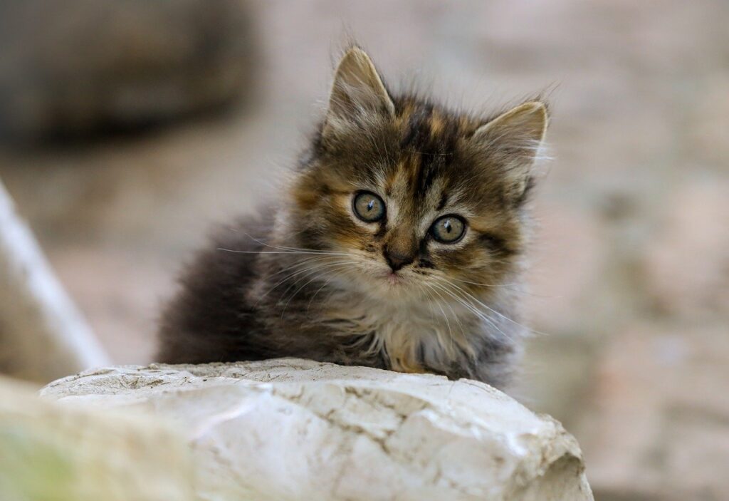 ヘッドスピードと飛距離を伸ばすための練習方法は？