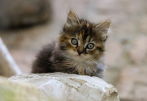 ヘッドスピードと飛距離を伸ばすための練習方法は？