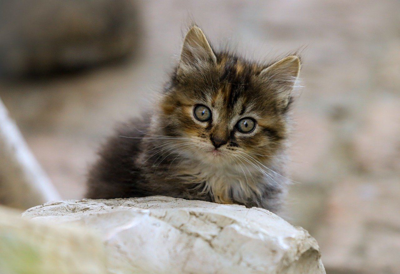 ヘッドスピードと飛距離を伸ばすための練習方法は？