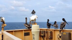 ウェッジの選び方でスコアを上げるためのポイントは？