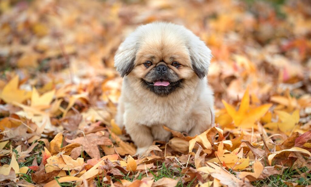 パターの買い替えでスコアを向上させる方法は？