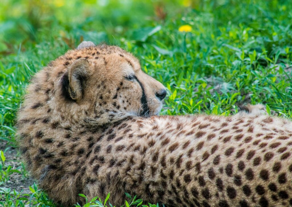 最速スコア更新のための完全ガイドは？