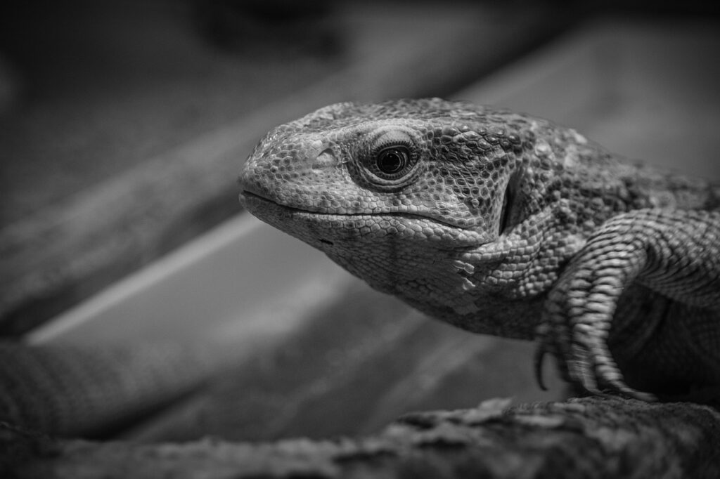 マンツーマンで上達を早くするための効果的な学習法は？